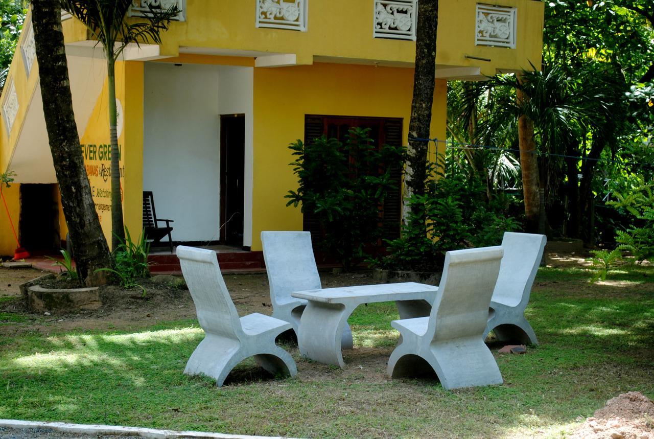 Ever Green Mirissa Exterior foto